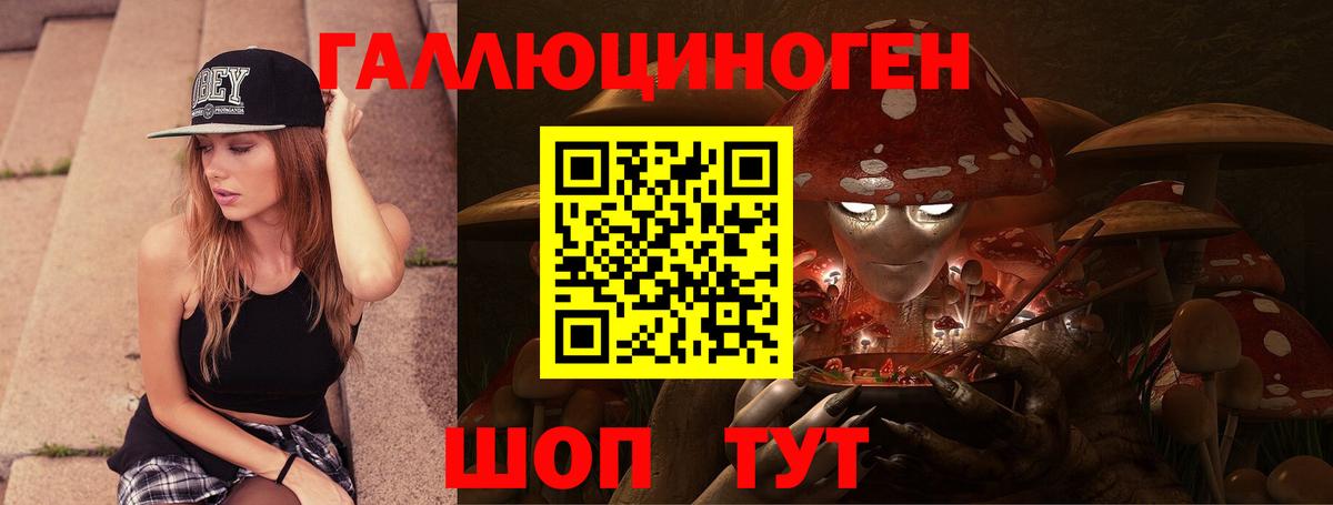 Псилоцибиновые грибы Psilocybe  Вход с VPN  Усинск 